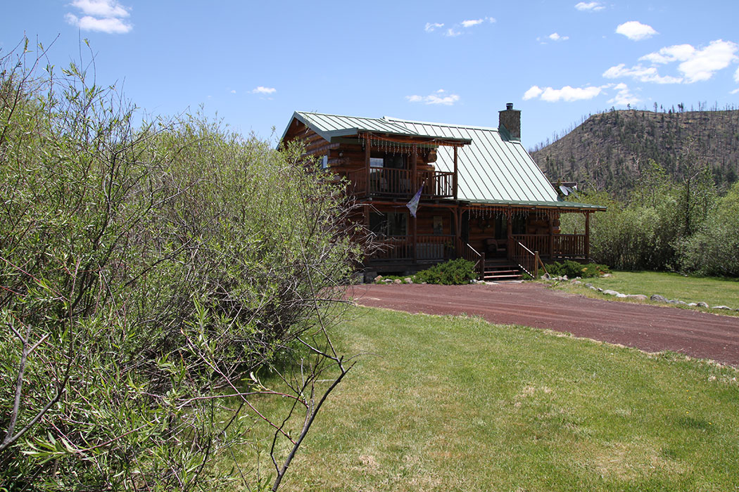 LiIttle Ponderosa surrounded by willows.